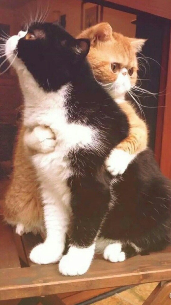 Trip atarken, ne olursa seni yumuşatır☺️?