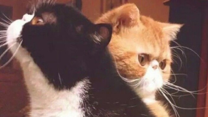 Trip atarken, ne olursa seni yumuşatır☺️?
