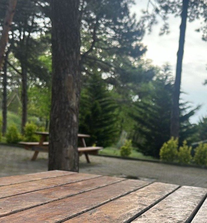 Hava mis gibi..😌