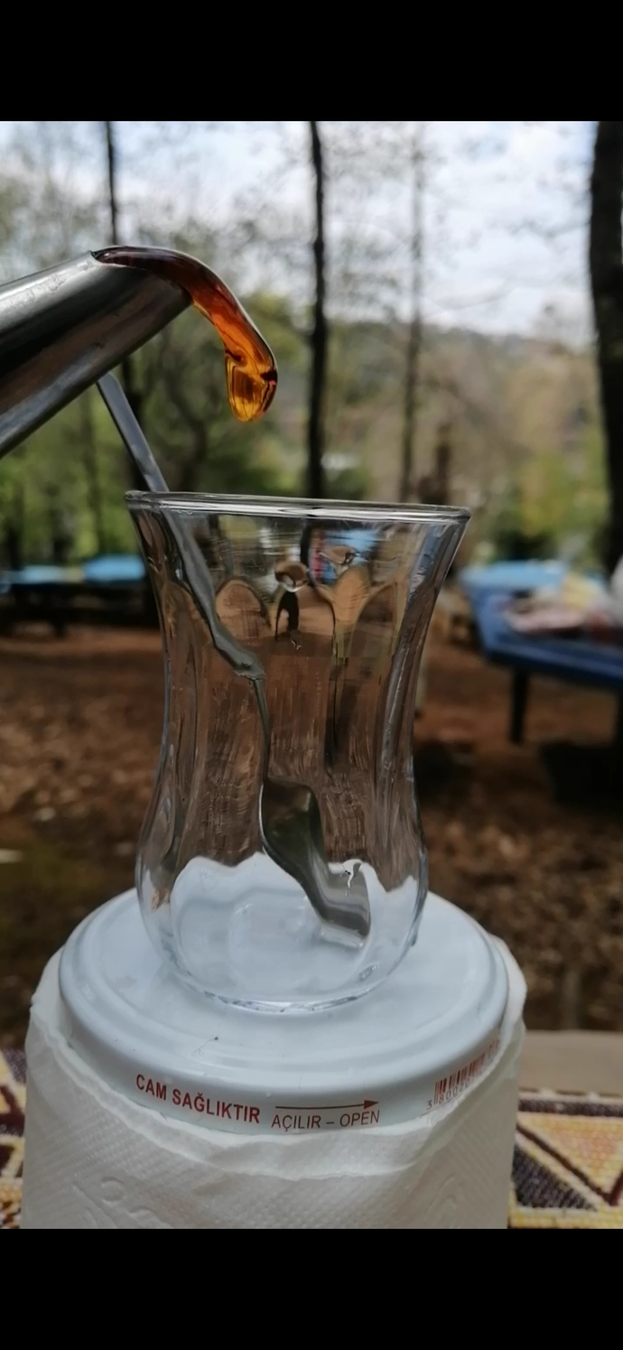 Pazar sabahı napıyosun?