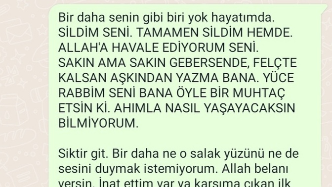 Sizce çok mu basit durdum? Kendimi keşke onun seviyesine düşürmeseydim diyorum. Ne düşünüyorsunuz?