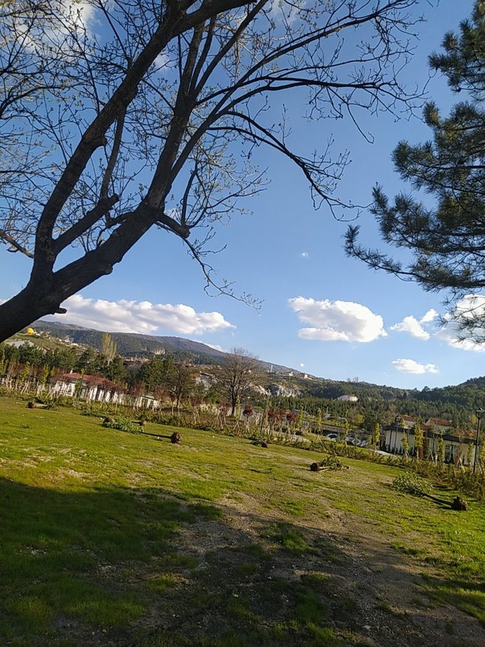 Galerinizdeki son fotoğraf yaşam felsefenizmiş, galerinizdeki son fotoğraf ne?
