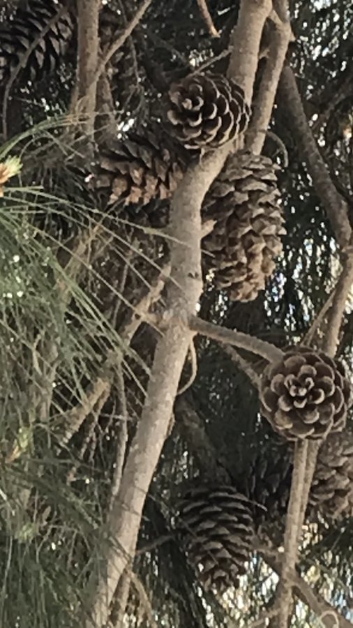 Galerinizdeki son fotoğraf yaşam felsefenizmiş, galerinizdeki son fotoğraf ne?