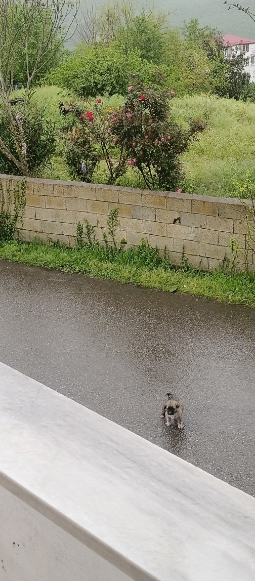 Galerinizdeki son fotoğraf yaşam felsefenizmiş, galerinizdeki son fotoğraf ne?