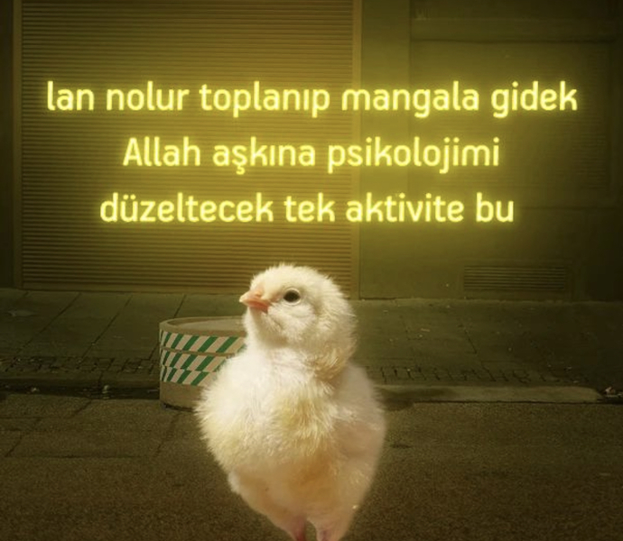 😂