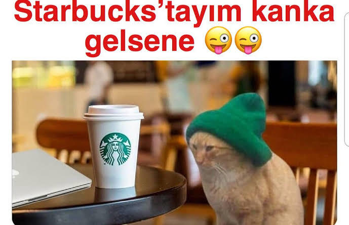 Güne direkt sağlıklı içeceğiyle başlayanlardan mısın, kahve keyfiyle mi?