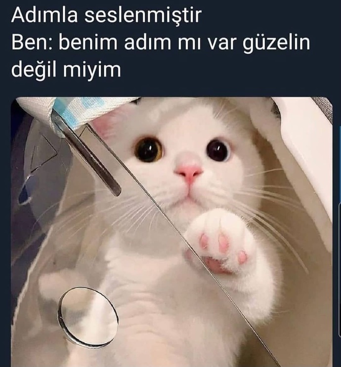 Eşinin/sevgilinin sana adınla seslenmesi sende nasıl bir his oluşturur?