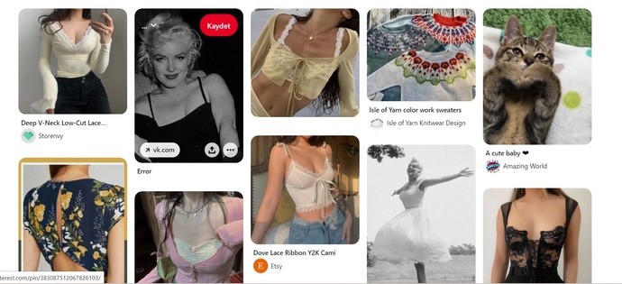 Pinterest memeci olduğumu nasıl anlamış olabilir?