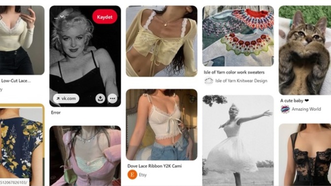 Pinterest memeci olduğumu nasıl anlamış olabilir?