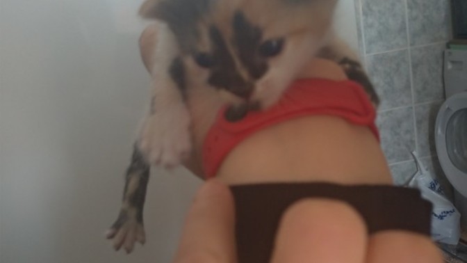 Her şeyin yavrusu ekstra tatlı olmuyor mu?