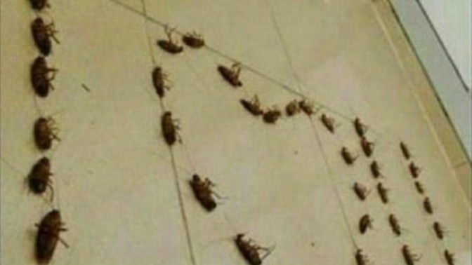 Aklına gelen en marjinal fikir neydi?