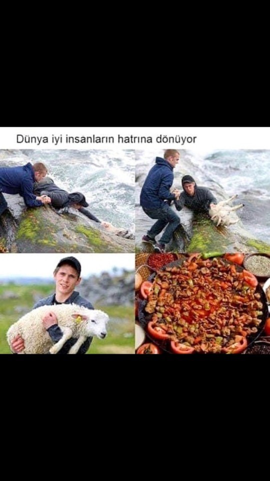 O masum kuzuları kavurma olarak nasıl yiyorsunuz?