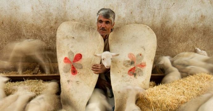 Bu kanalın yalanları doyuruyor mu sizi?