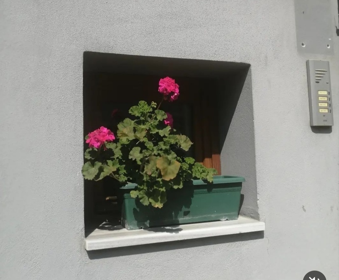 Duygularım içimde nasıl olduklarını bilmiyorsunn...🌱