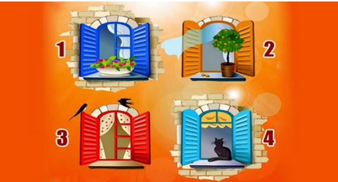 Test yapacağız, pencerenizi seçin ve bu dünyada ne bulmak istediğinizi öğrenin?