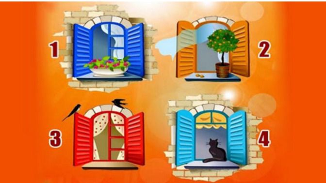 Test yapacağız, pencerenizi seçin ve bu dünyada ne bulmak istediğinizi öğrenin?