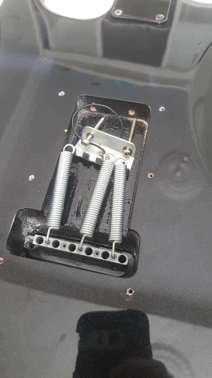 Elektro gitar sorunu lütfen yardımcı olun?
