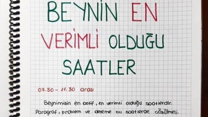 Hangi dilleri öğrenmek istersiniz?