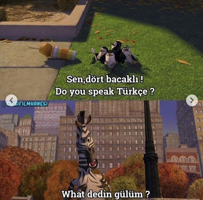 Do You Speak Türkçe🤣