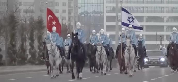 En sevdiğiniz hayvan ne?