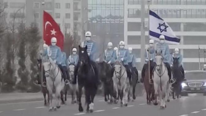 En sevdiğiniz hayvan ne?