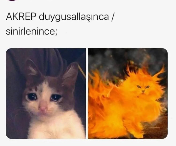Burcunuzun sizde ki en belirgin özelliği ne?