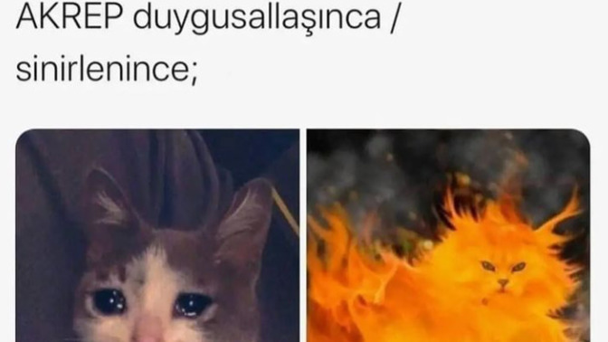 Burcunuzun sizde ki en belirgin özelliği ne?