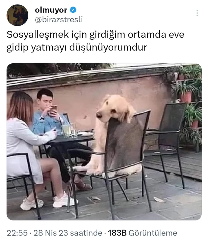 Sosyal ortamlarda yorgun hissediyor musunuz?