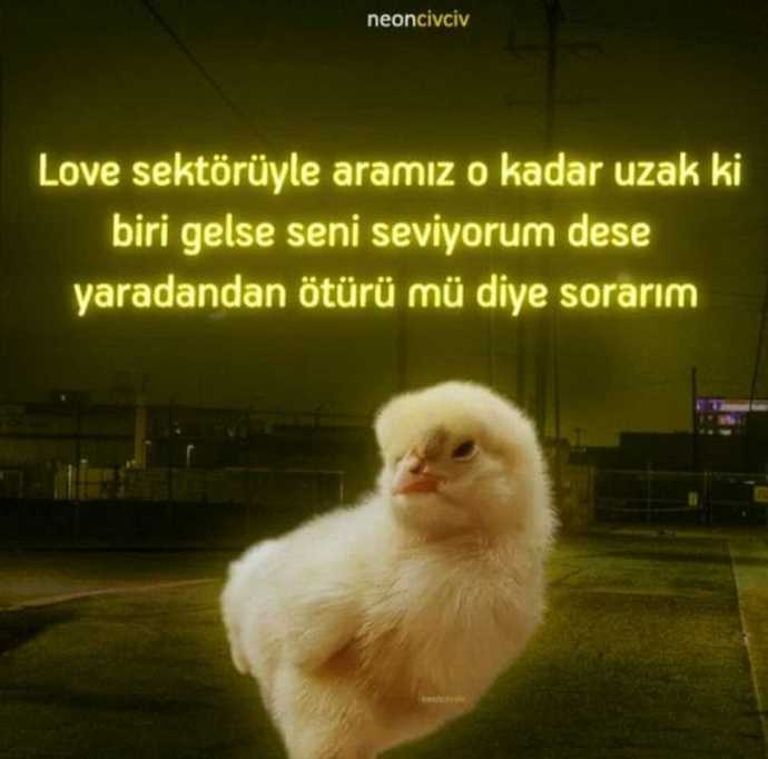 Böyle mi dersiniz?