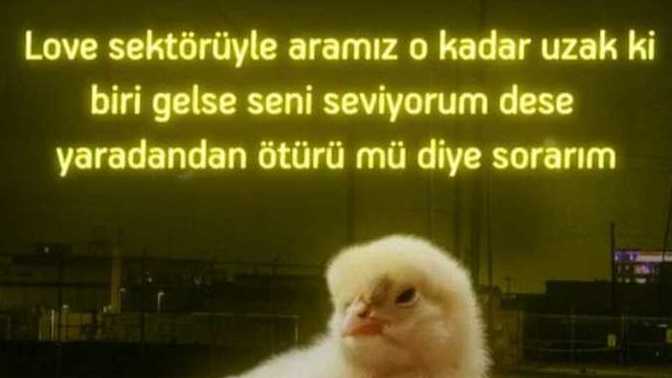 Birisi sizi sevdiğini söylese ne tepki verirsiniz?