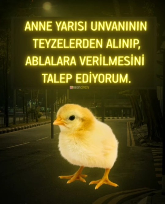 Anne yarısı abla mıdır yoksa teyze midir?