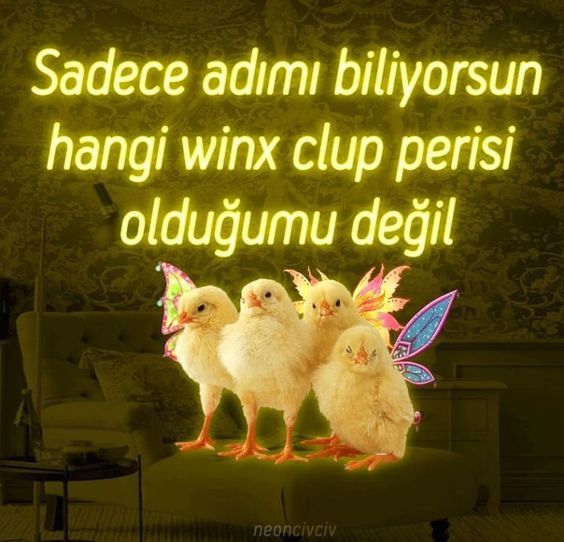 Winx club perileri karakteri belli eder