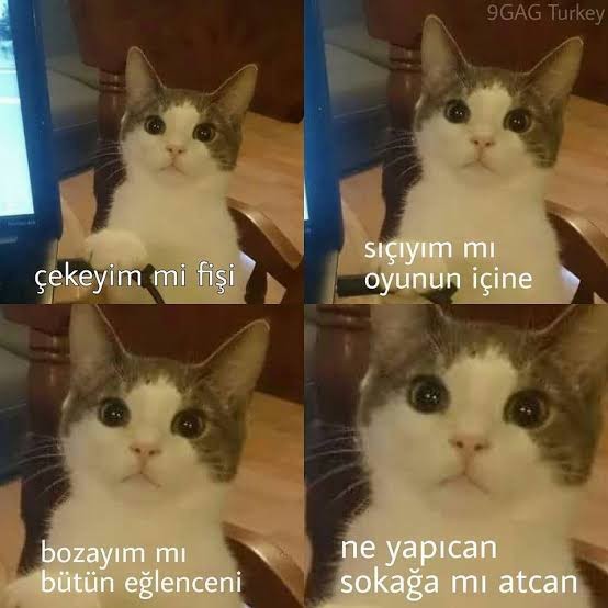 Nazını, kaprisini çeken kimse var mı🙃?