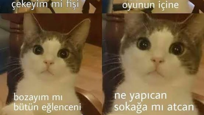 Nazını, kaprisini çeken kimse var mı🙃?