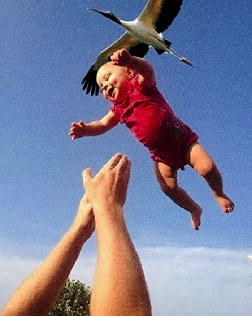 Eve servis bir bebişş... Güle güle kullanın...🥳