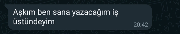 Sevişme esnasında partneriniz durup gelen bildirime bakarsa herhangi bir tepki verir misiniz?