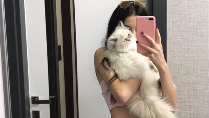 Dostlar duydunuz mu benim de bir kedim var artık! Sizin var mı?