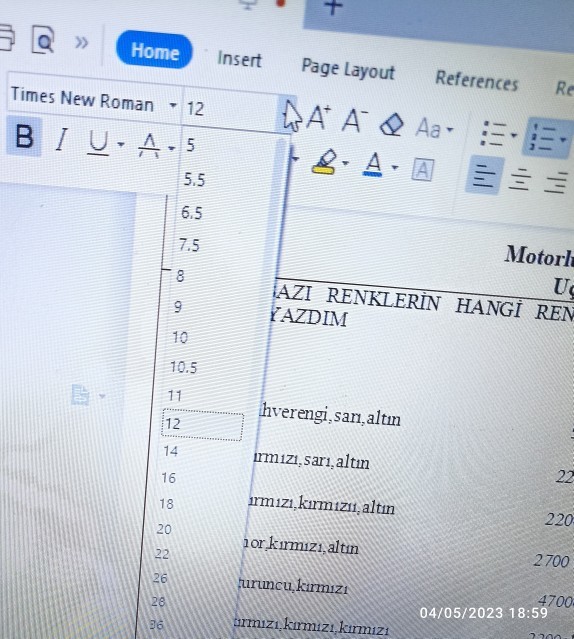 Microsoft Wordte punto nereden seçilir?