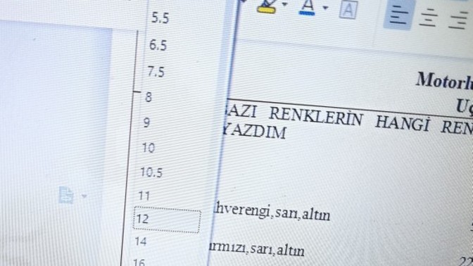 Microsoft Word'te punto nereden seçilir?