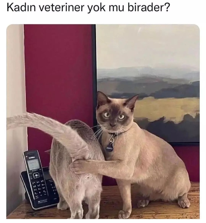Sağlık hizmetlerinde kadın erkek ayrımı yapar mısın?