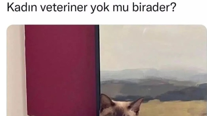 Sağlık hizmetlerinde kadın erkek ayrımı yapar mısın?