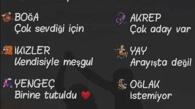 Burcuna göre neden sevgilin yokmuş?