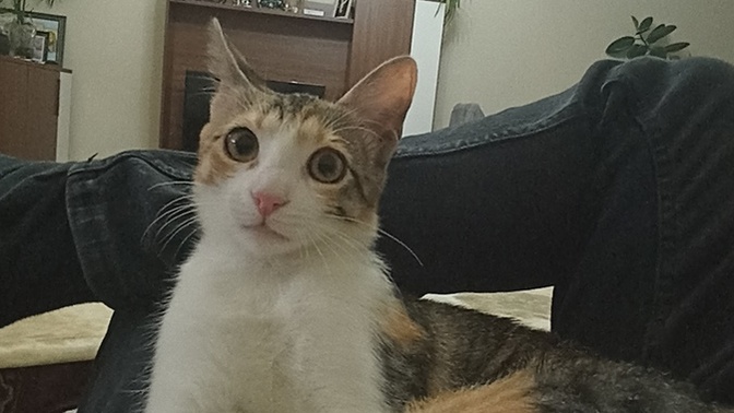 Bu aşk değil de ne?