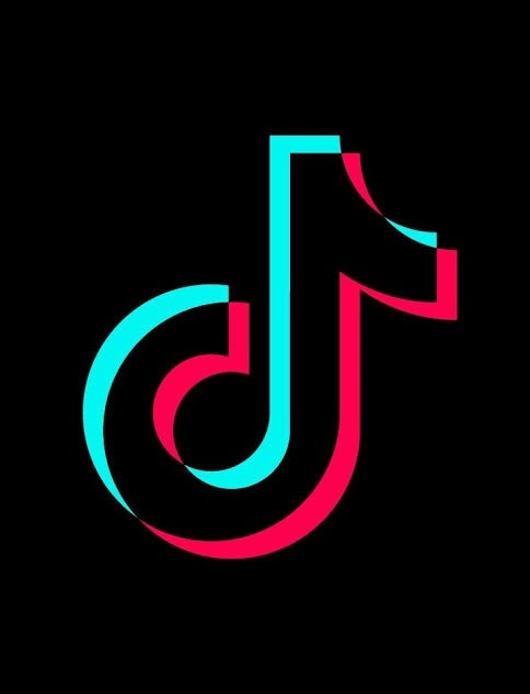 Tiktok uygulamasını kullanan birisini itici buluyor musunuz?