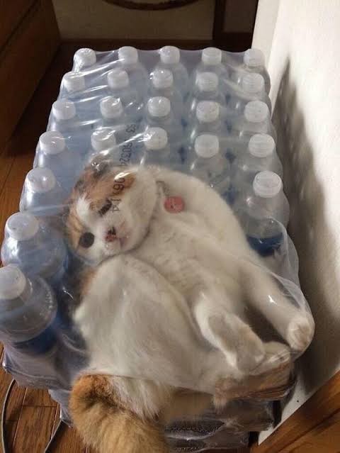 Belayı bulan mısın, belanın kendisi mi 😅?