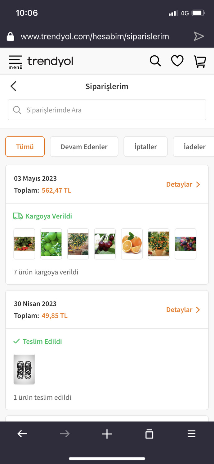 Evde çiçek kaktüs vs yetiştiriyor musunuz? Ev bitkilerinden hangilerine ilginiz var?