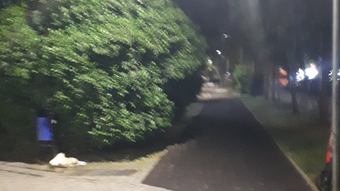 Akşam koşularıyla aranız nasıl?