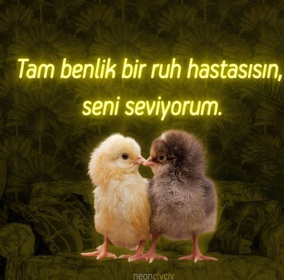 Değişik bir mayası varsa diyerekten