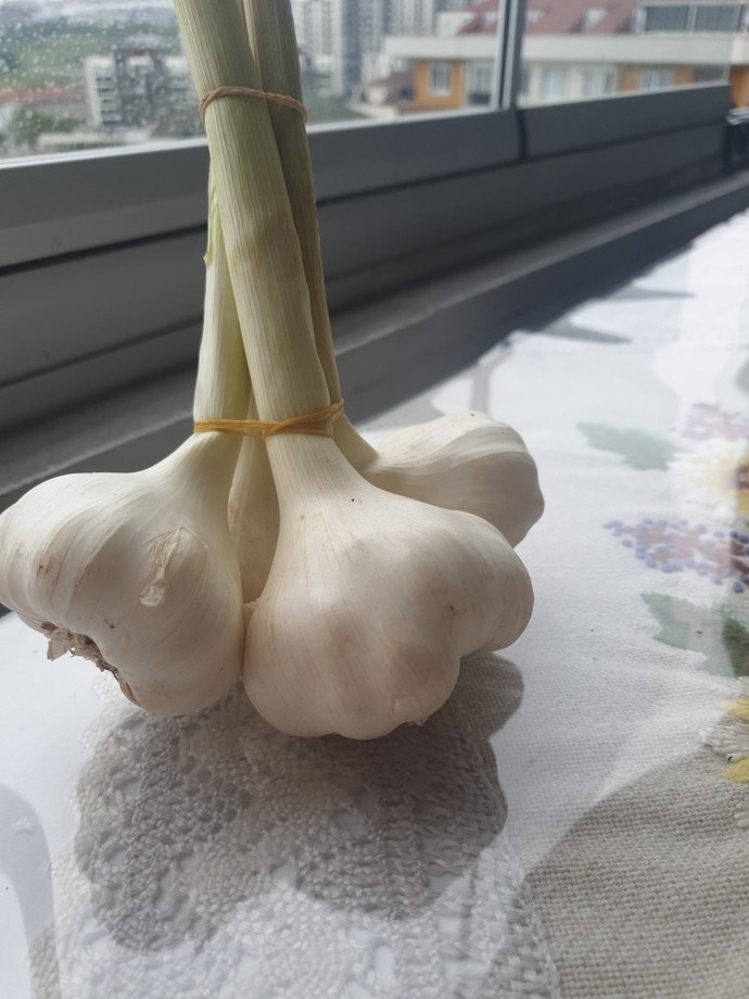 Her derde deva olur dediğin bir şey var mı?