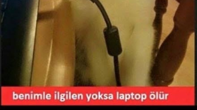 Sizinle ilgilenmeyenle ilgilenir misiniz?
